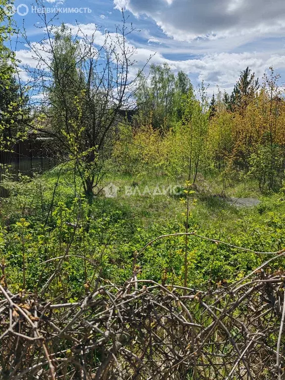 Участок в Сергиево-Посадский городской округ, деревня Филисово (15 м) - Фото 0