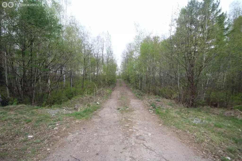 Участок в Хабаровский район, село Князе-Волконское (2100 м) - Фото 2