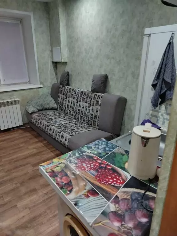 Студия Красноярский край, Красноярск ул. Крупской, 4 (15.0 м) - Фото 2