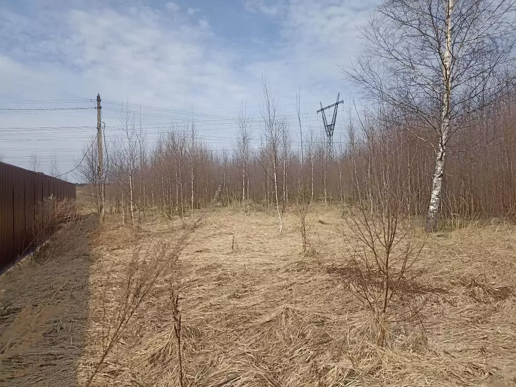 Участок в Москва д. Рассудово, ул. Святая, 20 (16.91 сот.) - Фото 1