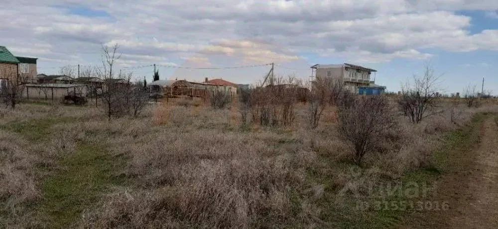 Участок в Крым, Сакский район, Новофедоровка пгт  (10.0 сот.) - Фото 1