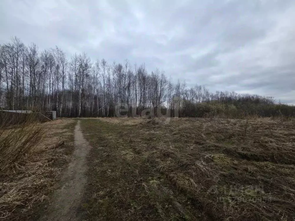 Участок в Владимирская область, Покров Испытатель-2 садовое ... - Фото 2