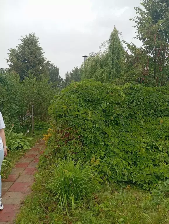 Дом в Московская область, Мытищи городской округ, д. Погорелки ул. ... - Фото 2