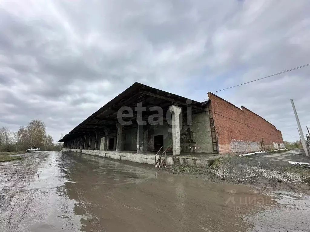 Помещение свободного назначения в Свердловская область, Асбест ... - Фото 1