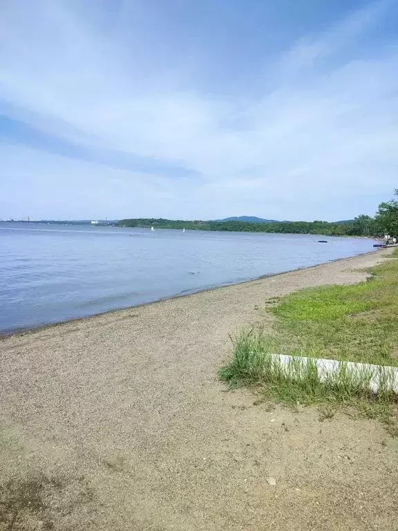 Студия Приморский край, Владивосток Садгородская ул., 29 (31.0 м) - Фото 1