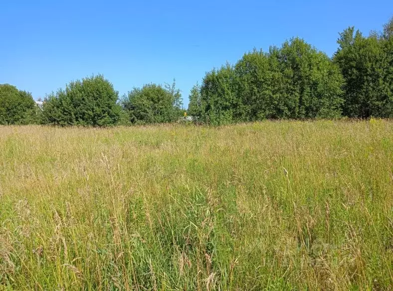 Участок в Московская область, Орехово-Зуевский городской округ, д. ... - Фото 1