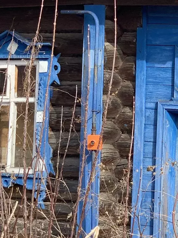 Участок в Нижегородская область, Бор городской округ, д. Трутнево  ... - Фото 0