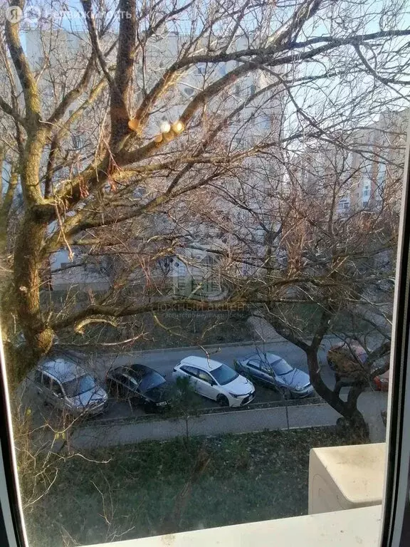 1-комнатная квартира: Анапа, проезд Космонавтов, 34 (30.2 м) - Фото 2