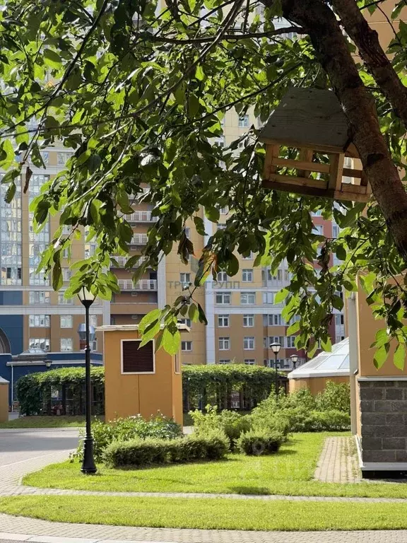 3-к кв. Санкт-Петербург просп. Просвещения, 43 (114.0 м) - Фото 1