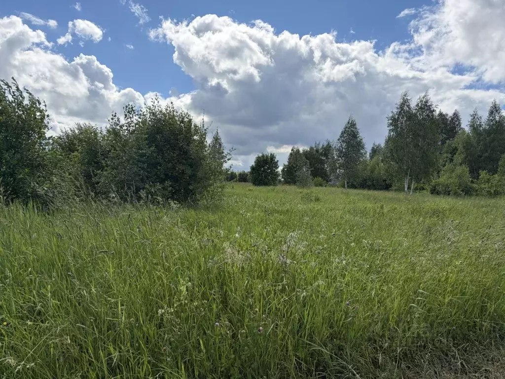Участок в Московская область, Кашира городской округ, д. Никулино  ... - Фото 1
