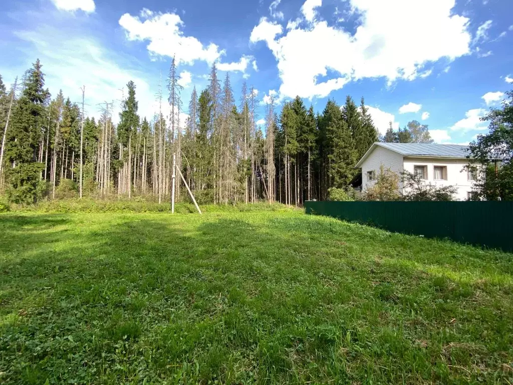 Участок в Московская область, Солнечногорск городской округ, Сад ... - Фото 2