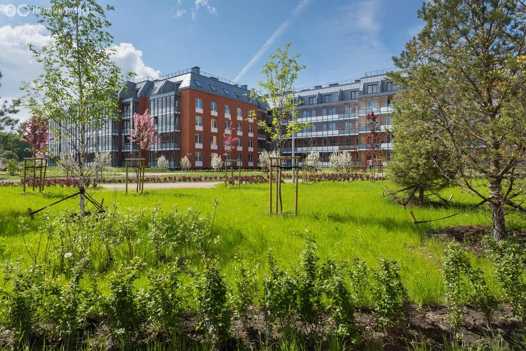 Квартира-студия: Санкт-Петербург, улица Струве, 8к2 (23.8 м) - Фото 1