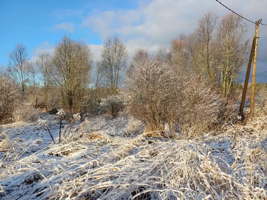 Участок в Ленинградская область, Выборгский район, Рощинское городское ... - Фото 1
