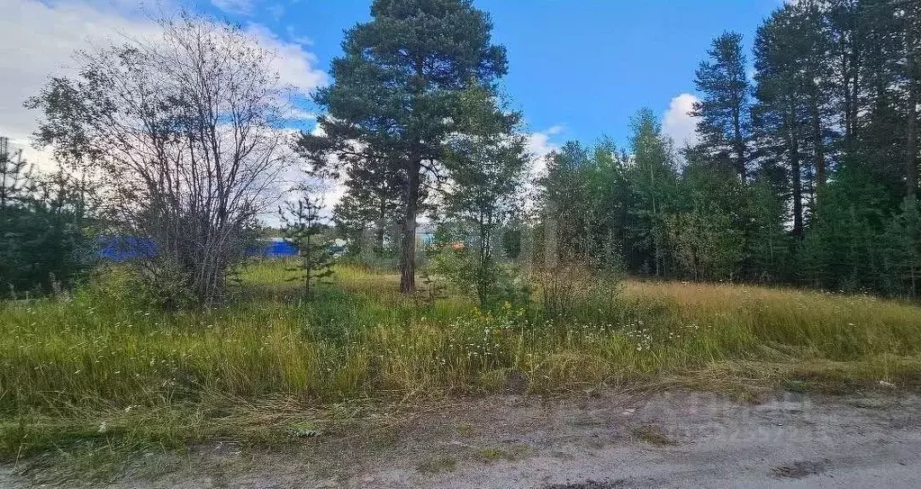 Участок в Ямало-Ненецкий АО, Ноябрьск П-4 мкр,  (7.5 сот.) - Фото 1