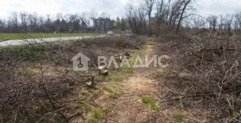 Участок в Краснодарский край, Краснодар Солнышко садовое товарищество, ... - Фото 1