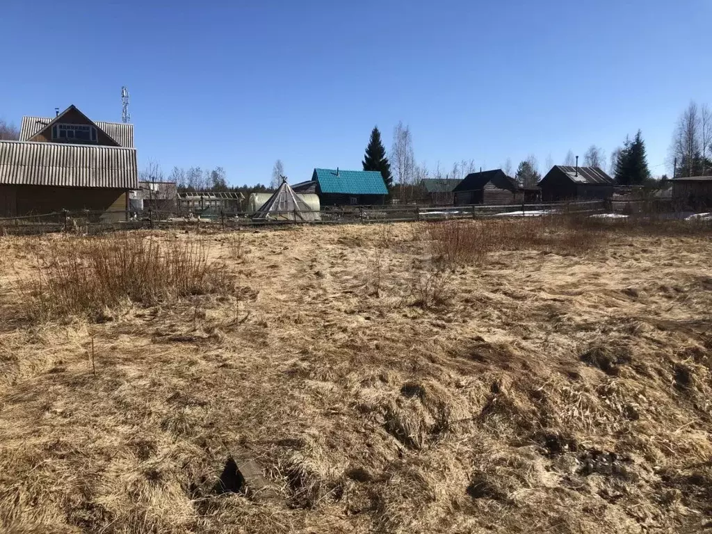 Участок в Коми, Сыктывдинский район, Выльгорт муниципальное ... - Фото 1