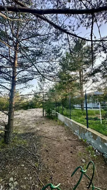 Участок 16 сот. (ИЖС) - Фото 1