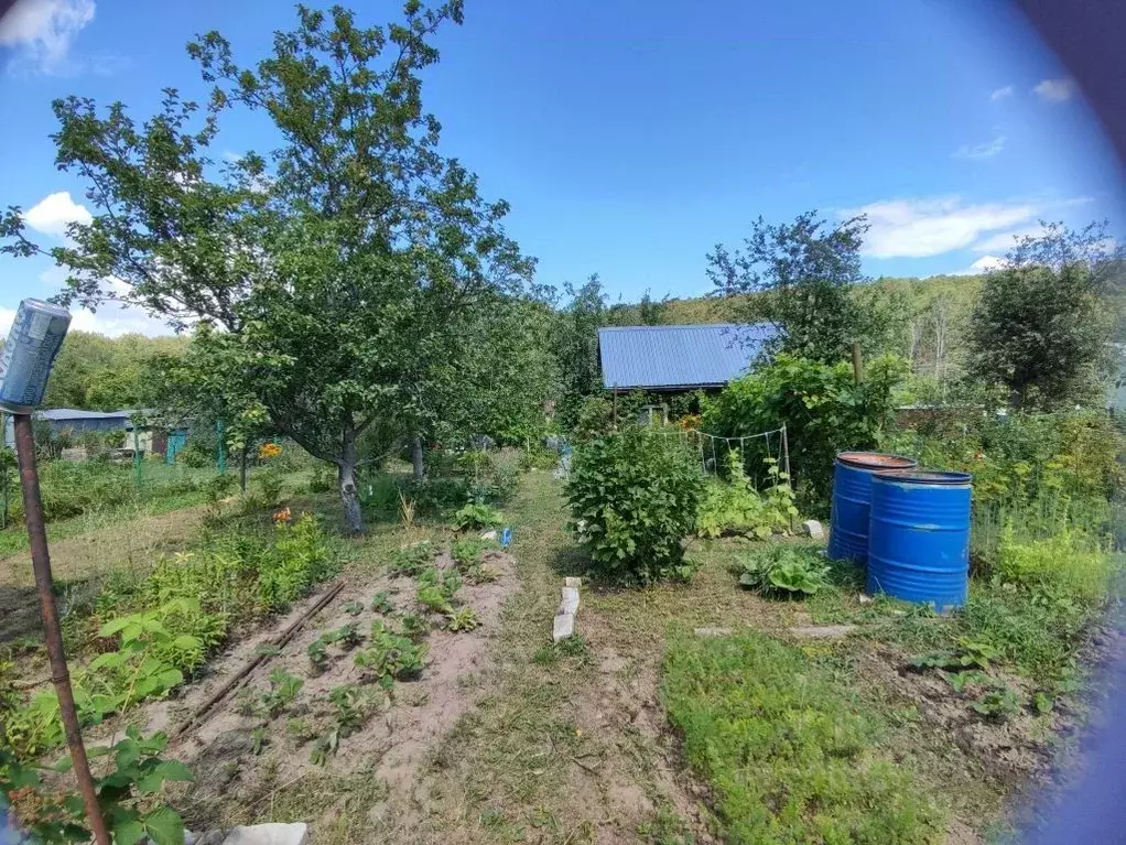 Участок в Нижегородская область, Нижний Новгород Дубрава СНТ, 102 (4.0 ... - Фото 1