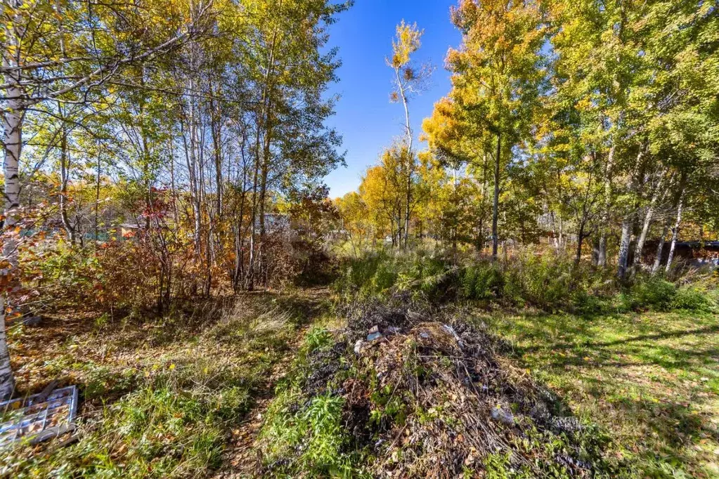 Участок в Хабаровский край, Хабаровск Фронтовик СНТ,  (7.0 сот.) - Фото 1