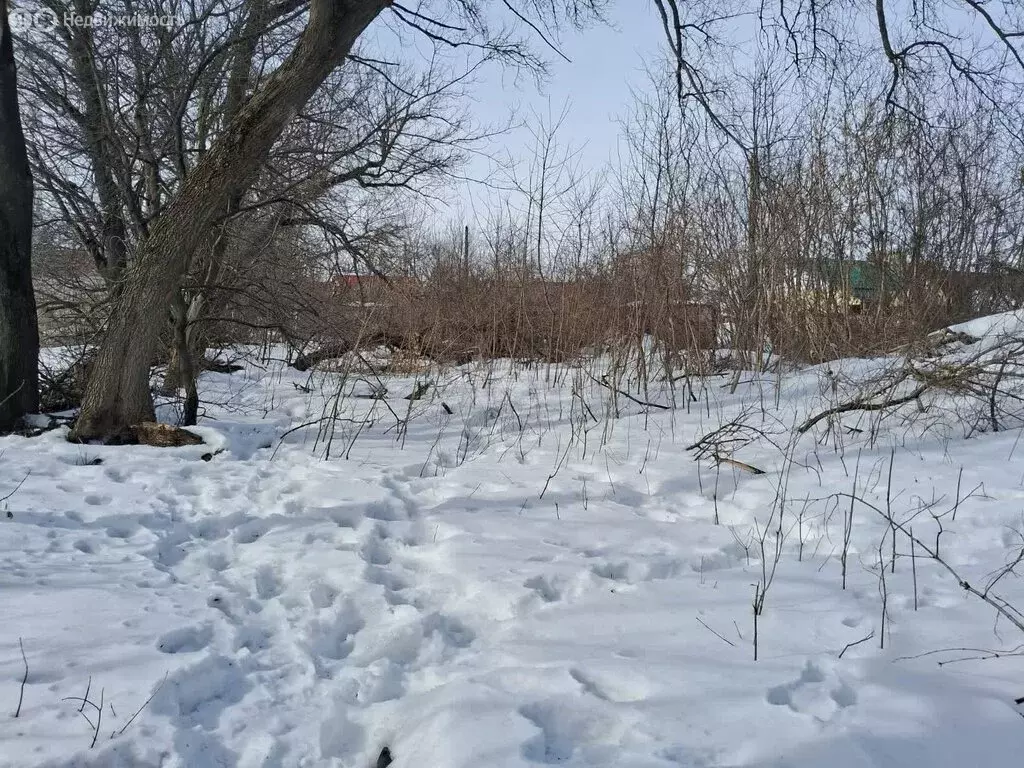 Участок в Липецкий муниципальный округ, село Боринское (12 м) - Фото 0