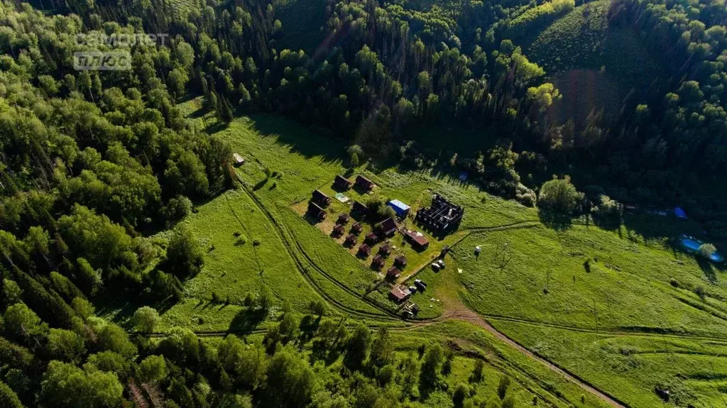 Помещение свободного назначения в Алтайский край, Курьинский район, ... - Фото 1