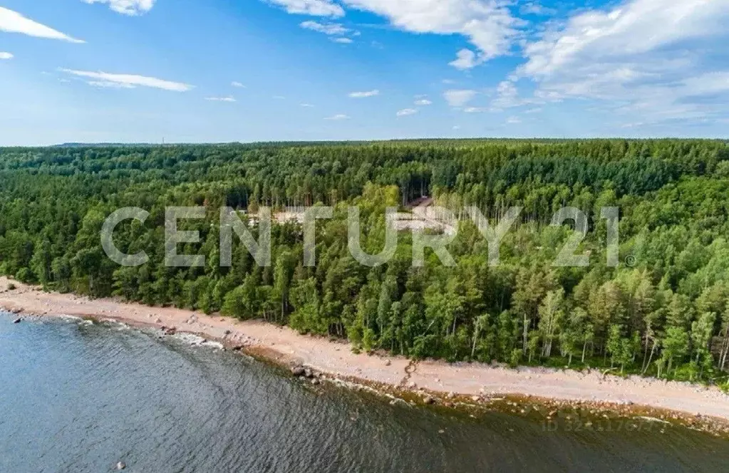 Участок в Ленинградская область, Выборгский район, Полянское с/пос, ... - Фото 1