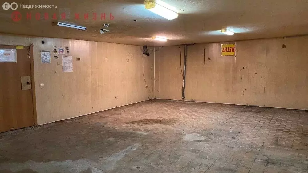 Помещение свободного назначения (240 м) - Фото 2
