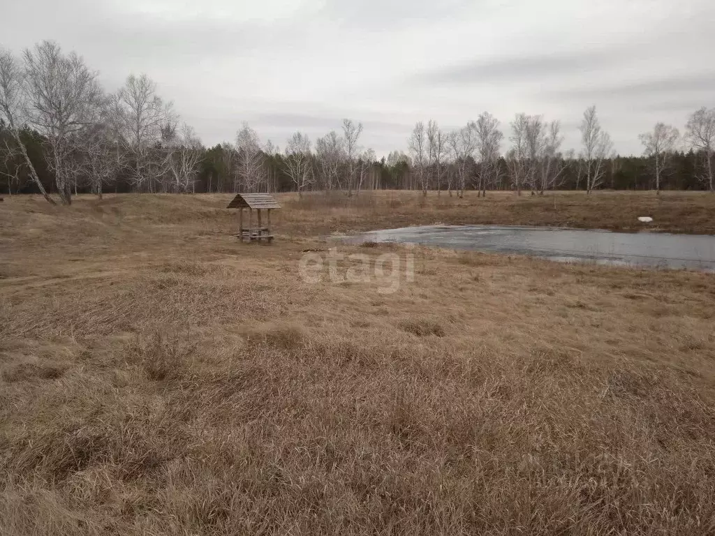 Участок в Омская область, Омский район, с. Покровка  (285.5 сот.) - Фото 0