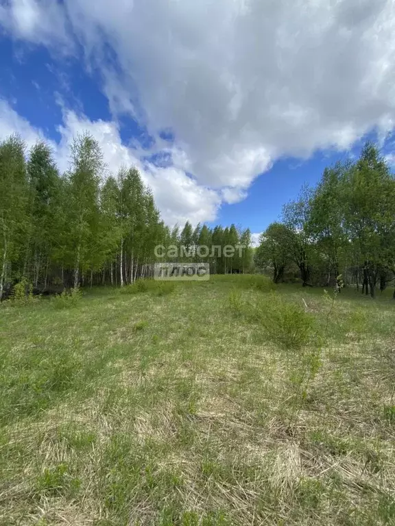 Участок в Нижегородская область, Бор Чайка СНТ,  (6.0 сот.) - Фото 0