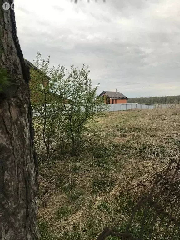 Участок в Ялуторовский район, село Сингуль Татарский (16 м) - Фото 0