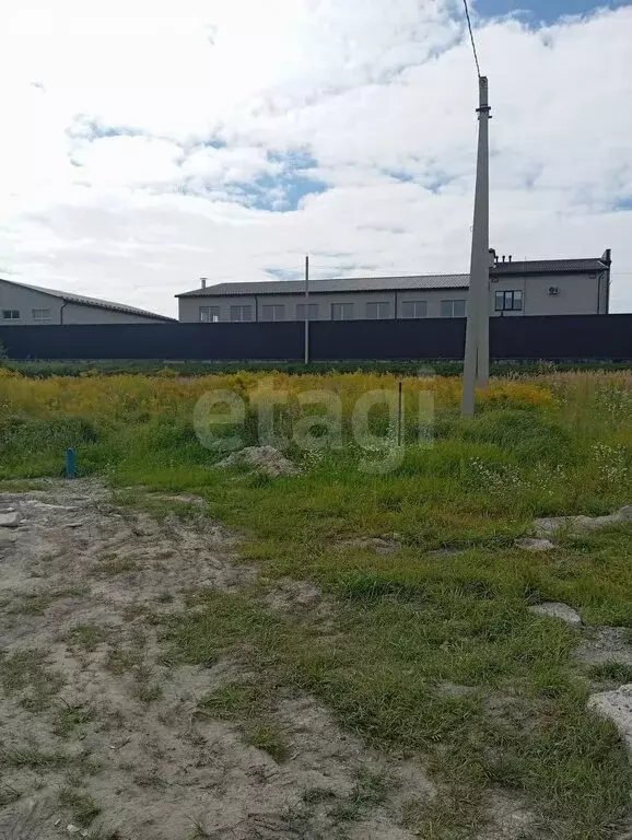 Участок в Новые Дарковичи, СДТ Болва (6 м) - Фото 0
