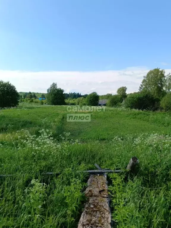 Участок в Вологодская область, Кирилловский муниципальный округ, д. ... - Фото 2