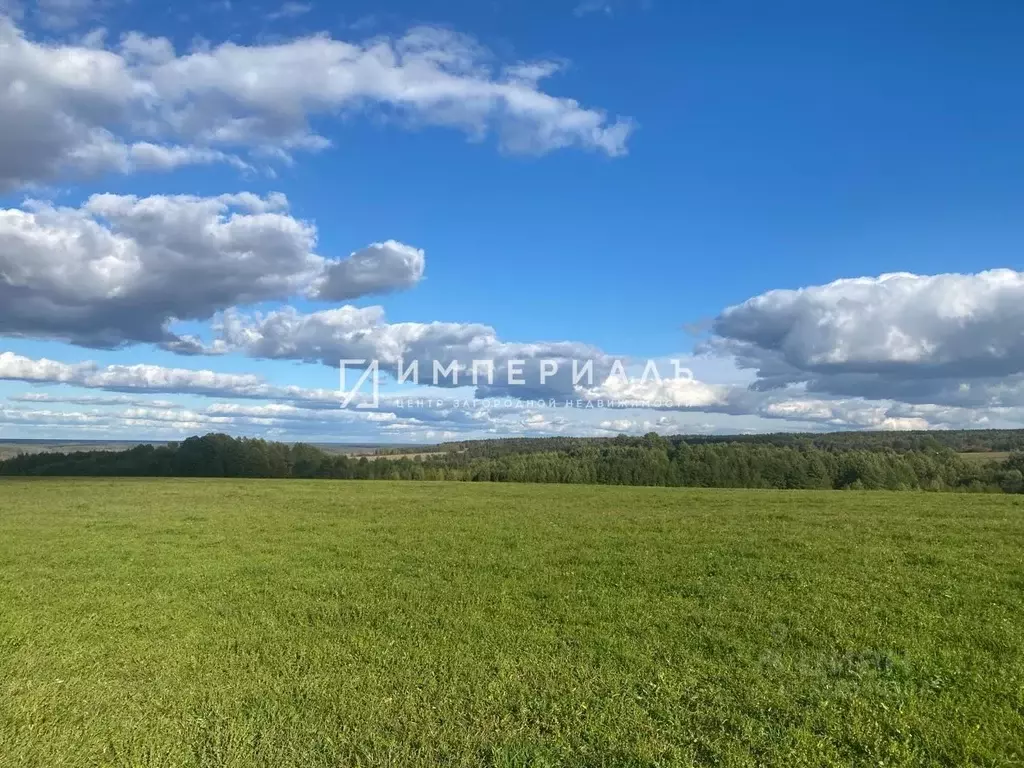 Участок в Калужская область, Жуковский муниципальный округ, Высокиничи ... - Фото 2