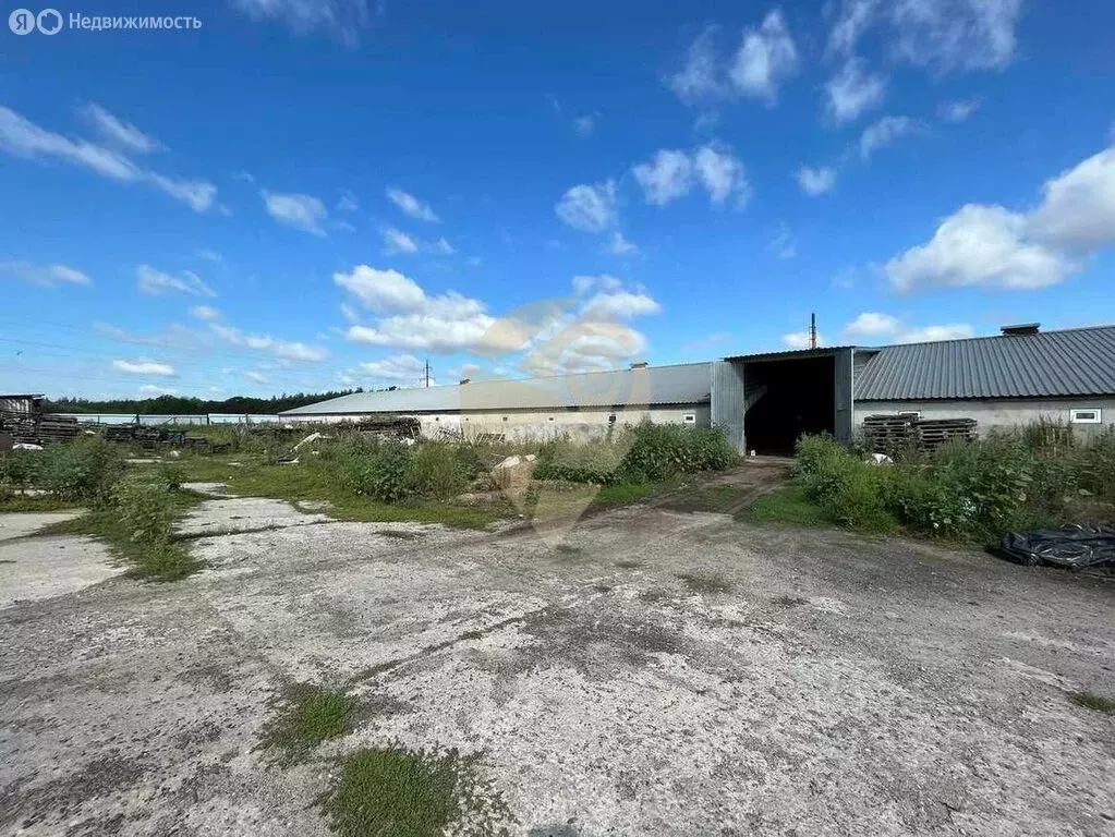 Склад (5478 м) - Фото 1