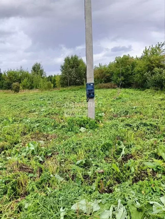 Участок в Марий Эл, Медведевский район, Пекшиксолинское с/пос, пос. ... - Фото 2