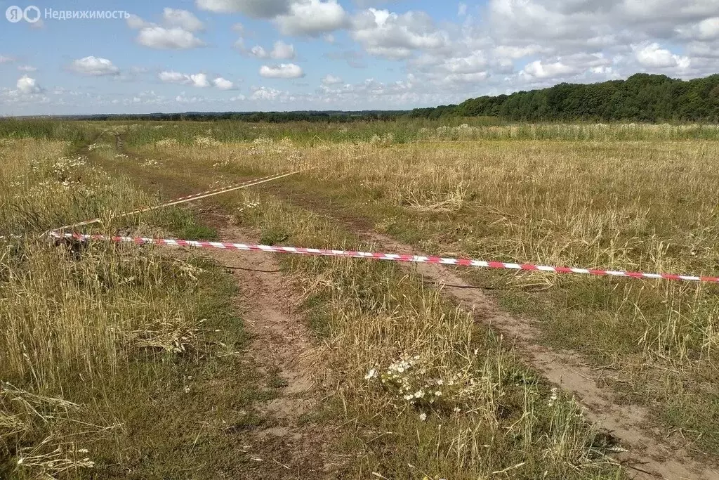 Участок в Балашовский район, село Старый Хопер (6 м) - Фото 1