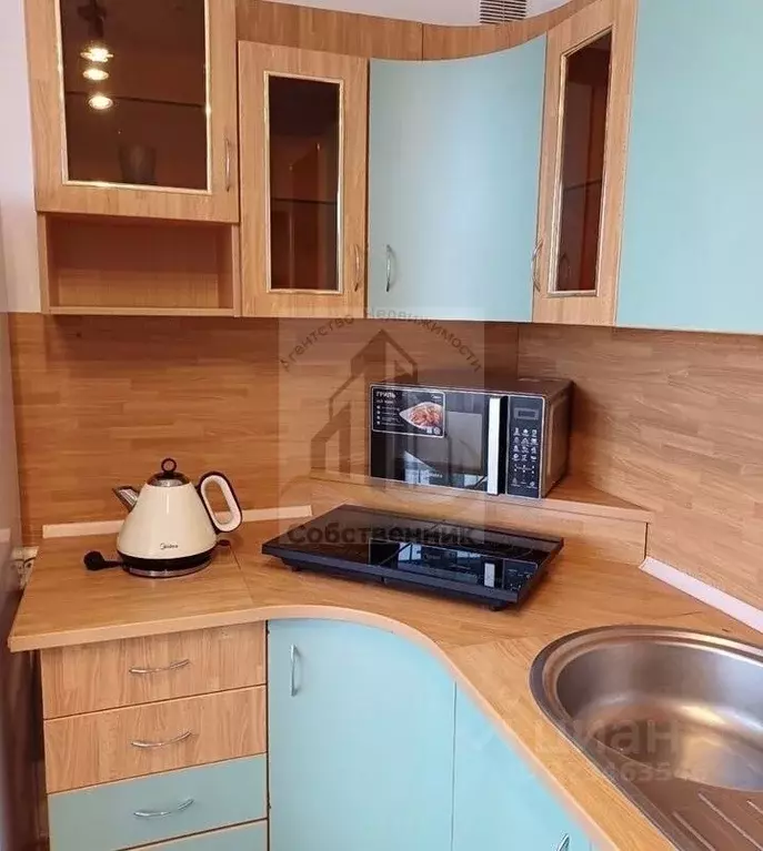 1-к кв. Воронежская область, Воронеж ул. Летчика Колесниченко, 44а ... - Фото 2