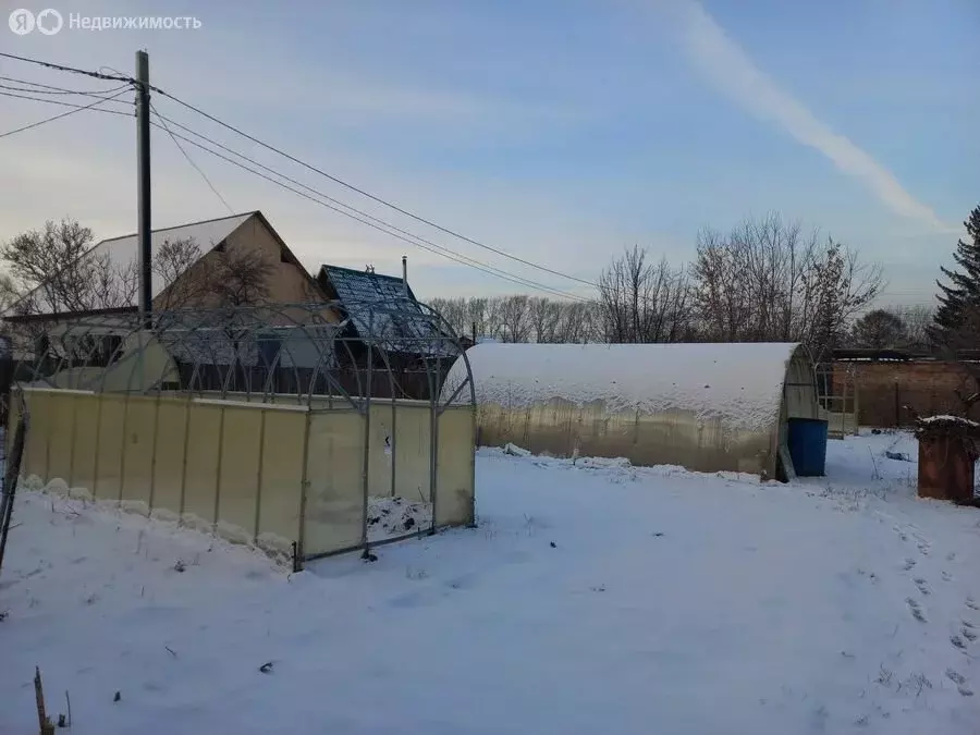 Участок в Новосибирск, садовое товарищество Ложок (6 м) - Фото 0