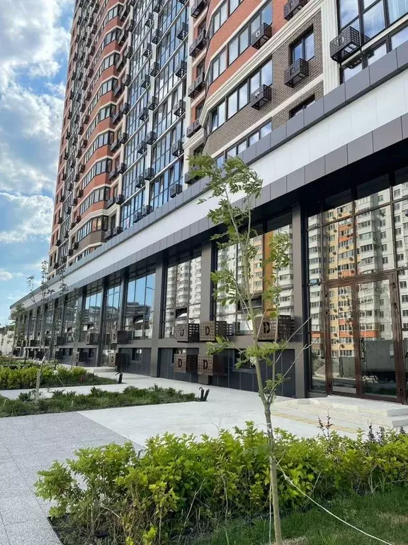 Помещение свободного назначения в Краснодарский край, Анапа ул. ... - Фото 1