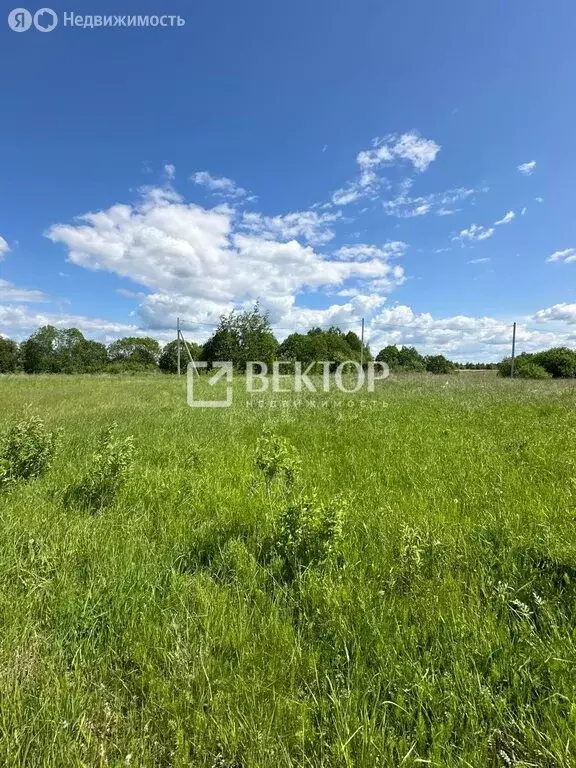 Участок в Кострома, Шарьинская улица (10 м) - Фото 1