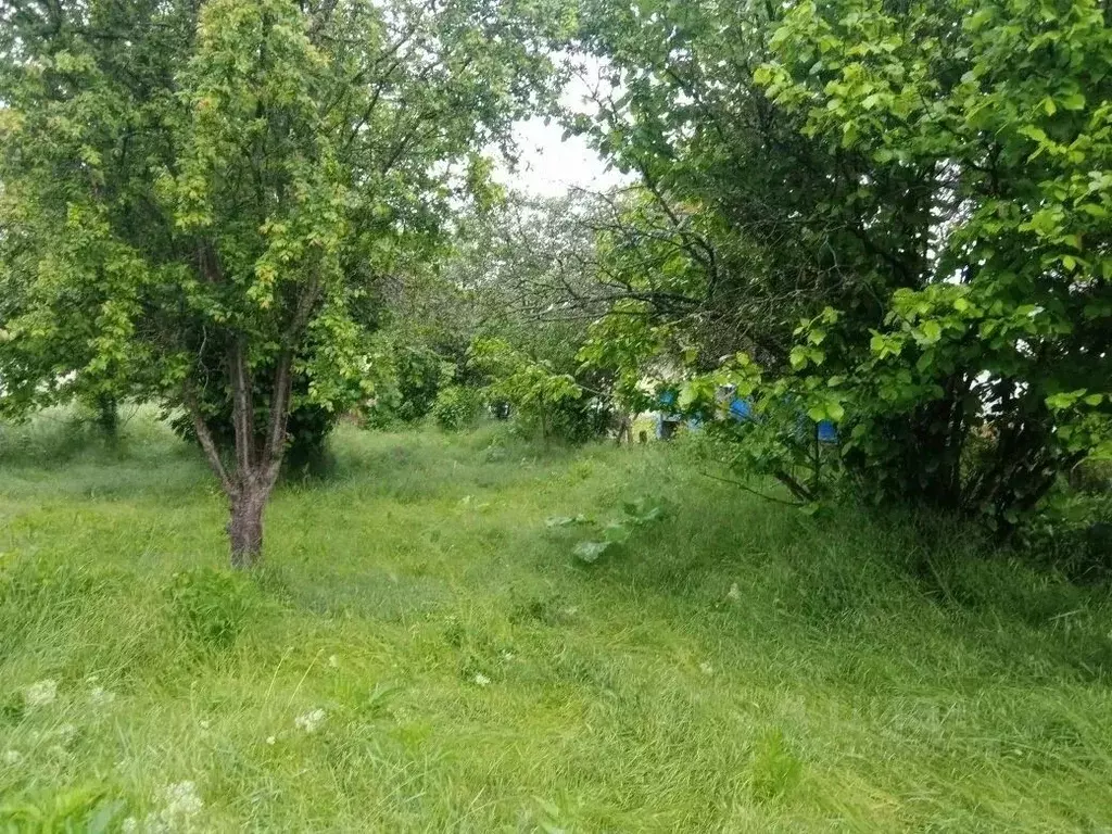 Дом в Крым, Бахчисарайский район, Голубинское с/пос, с. Новополье ул. ... - Фото 1