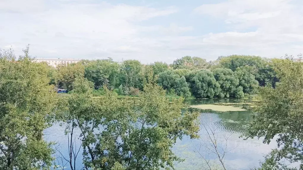 Студия Челябинская область, Челябинск Набережная ул., 5В (24.0 м) - Фото 0