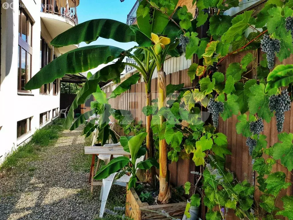 Дом в Сочи, Львовская улица, 7Ж (522.4 м) - Фото 1