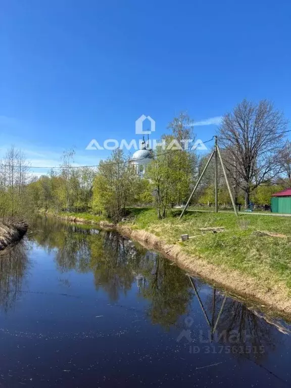 Участок в Ленинградская область, Лодейнопольский район, Доможировское ... - Фото 0