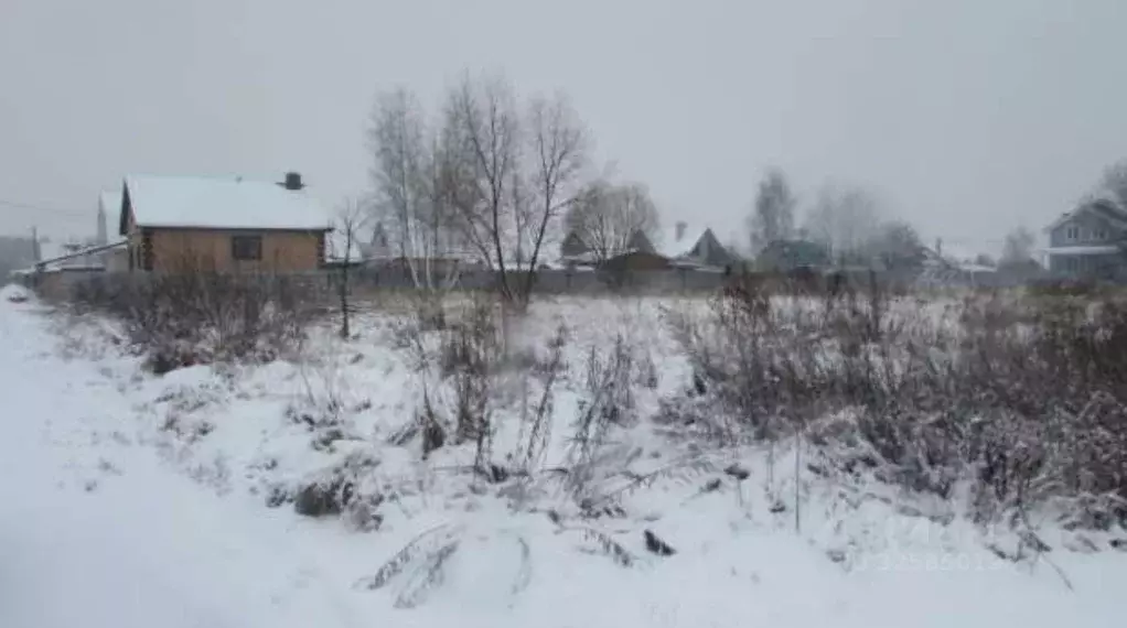 Участок в Московская область, Коломна городской округ, с. Нижнее ... - Фото 2