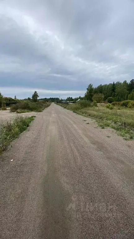 Участок в Ленинградская область, Выборгский район, Селезневское с/пос, ... - Фото 1