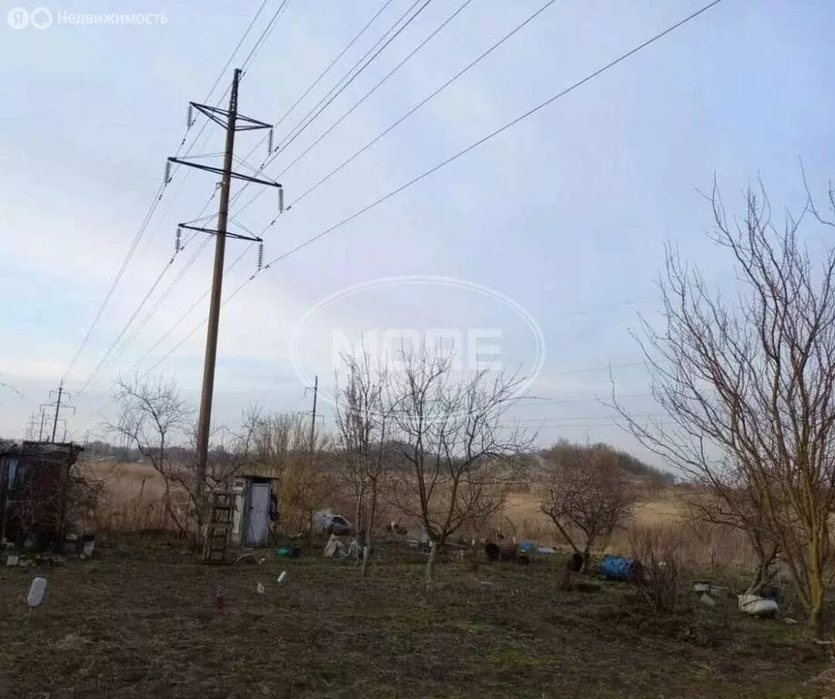 Участок в посёлок городского типа Янтарный, СНТ Садовник, Берёзовая ... - Фото 0