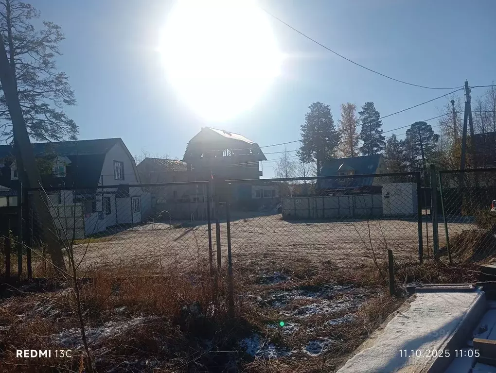 Участок в Ямало-Ненецкий АО, Ноябрьск пос. Самострой, ул. ... - Фото 2