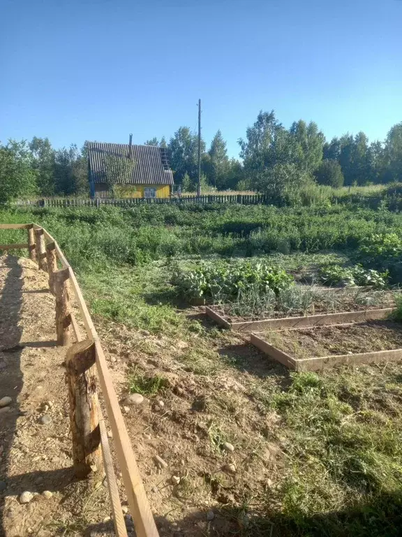 Дача 10 м на участке 11,6 сот. - Фото 1