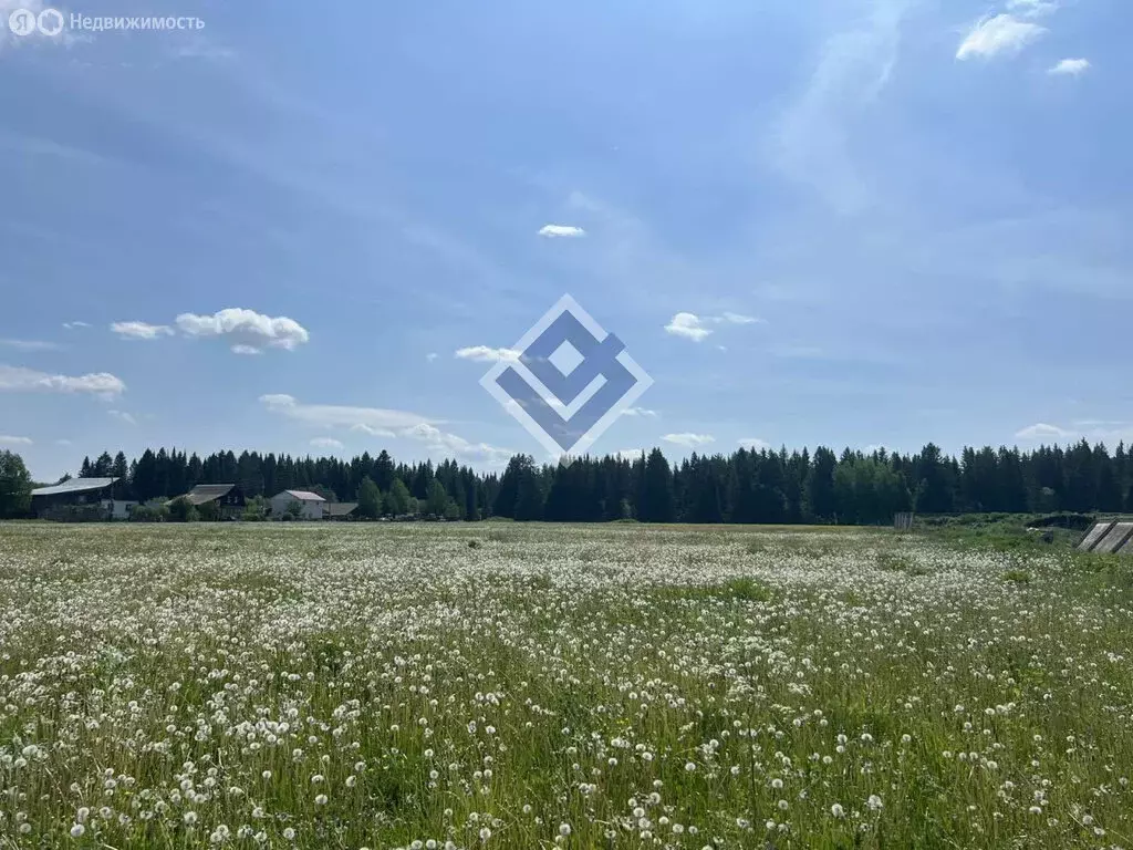 Участок в Пермский муниципальный округ, деревня Дикая Гарь (1167 м) - Фото 2